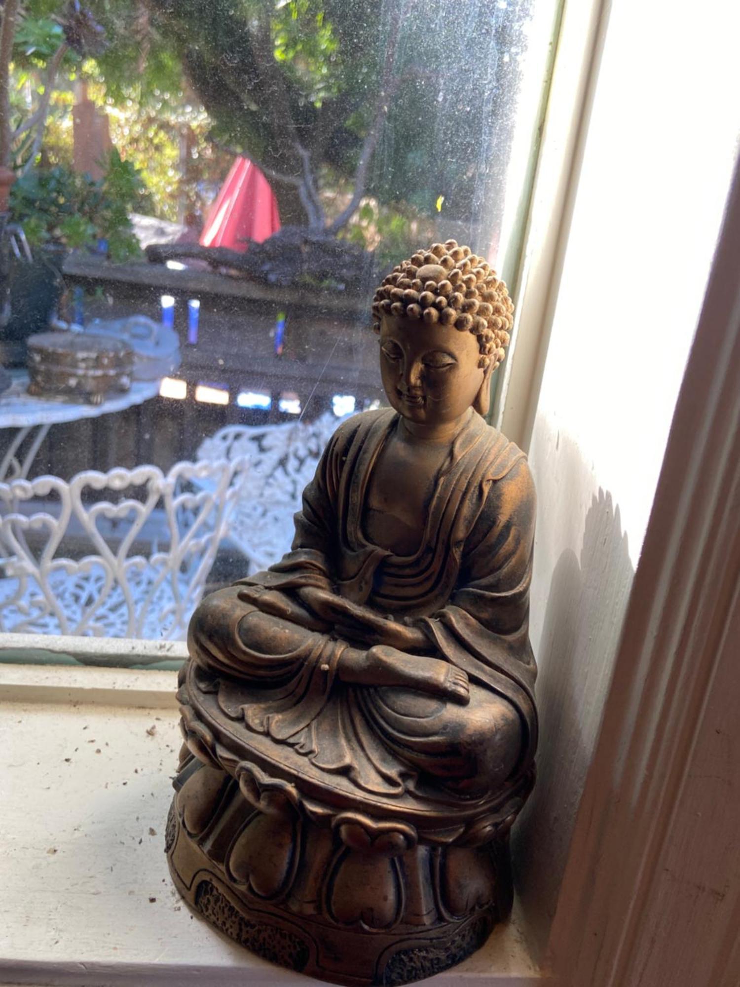 1 Belvedere Ave Muir Woods Mt Tamalpais Bolinas Lagoon Stinson Beach Buitenkant foto